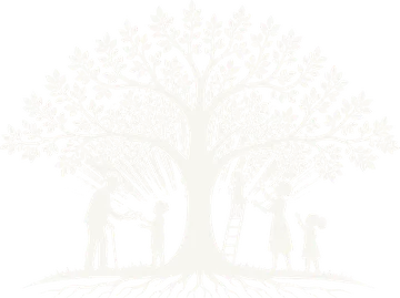 Edmond Foundation